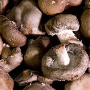 Fresh Shiitake Mushrooms – 200 g